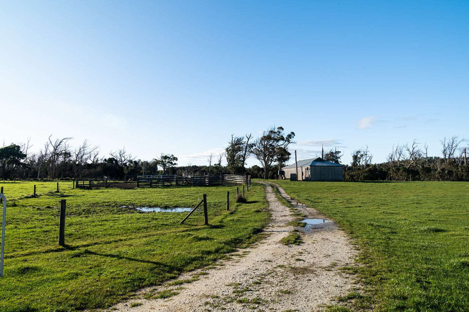Oxberry shearing shed